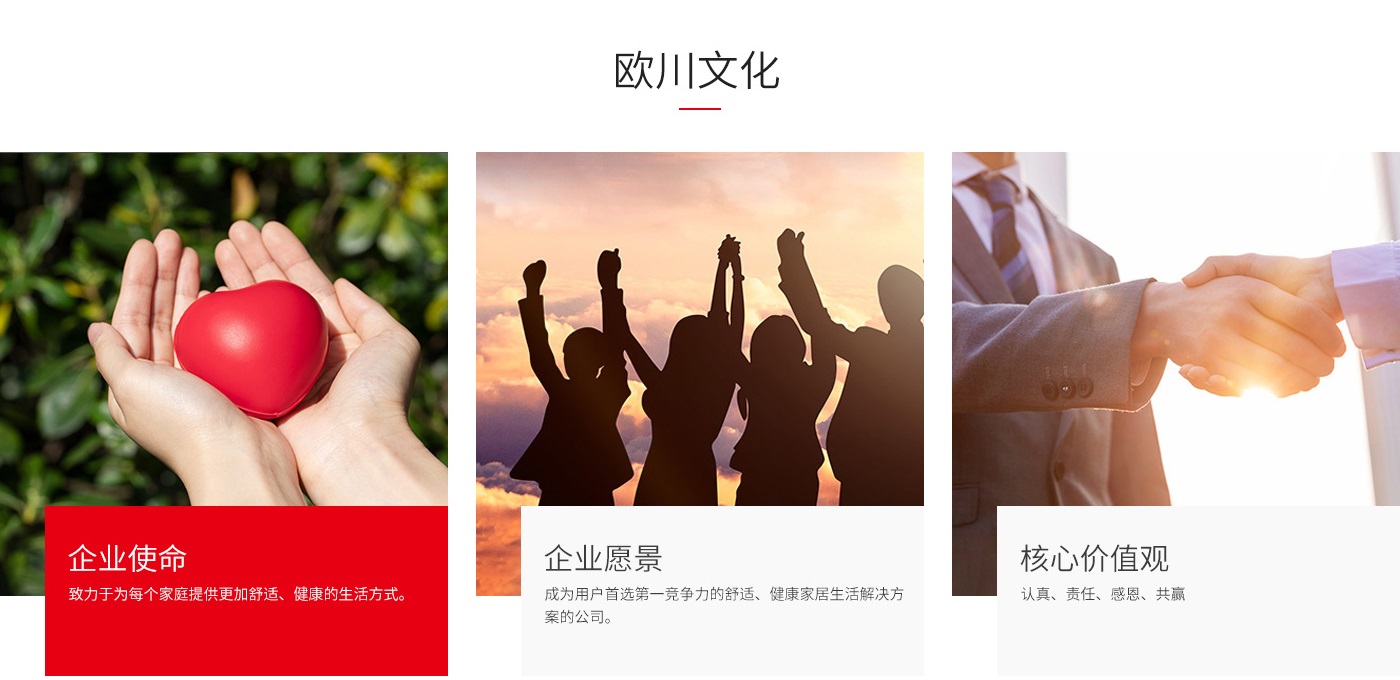 欧川家电-关于(1)_03.jpg